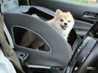 「ホンダの純正愛犬用アクセサリー「Honda Dog」シリーズを装着したFIT e:HEV Modulo Xなどを「第七回 アウトドアドッグフェスタin八ヶ岳」に出展」の1枚目の画像ギャラリーへのリンク