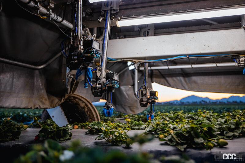 「ヤマハ発動機とクボタがイチゴの収穫など、露地作物・果樹分野の自動化を目指して連携強化」の1枚目の画像