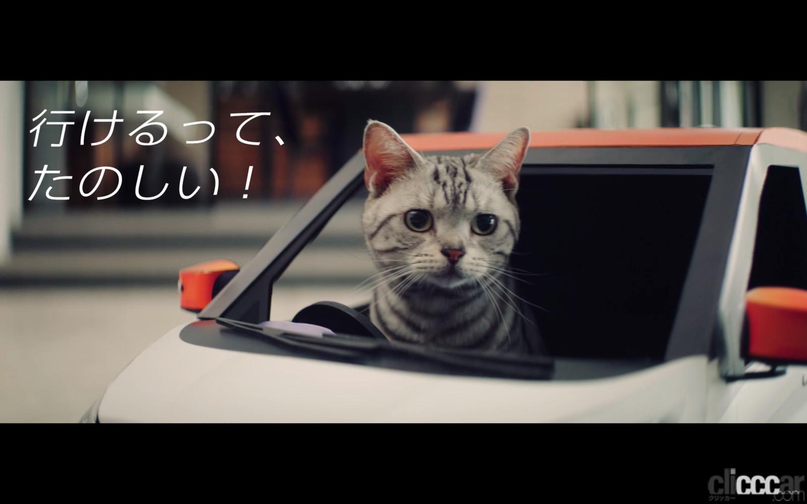 ねこが肉球でプロパイロットをオン 日産 デイズのねこcm にゃっさんデイズ がパワーアップ Clicccar Com ねこが肉球でプロパイロットをオン 日産 デイズのねこcm にゃっさんデイズ がパワーアップ Clicccar Com