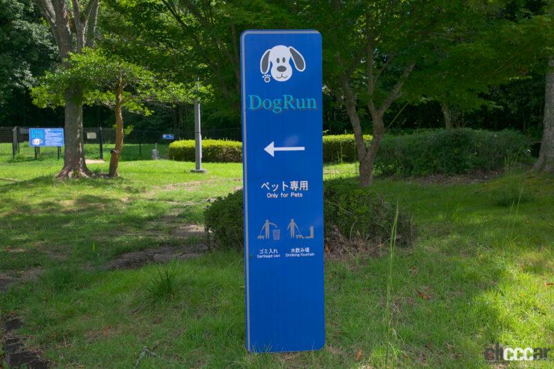 「【高速サービスエリア ドッグラン 山陽】中国道・鹿野SA（上り）は人とワンコが森林浴を楽しめる「森の中のドッグラン」」の10枚目の画像