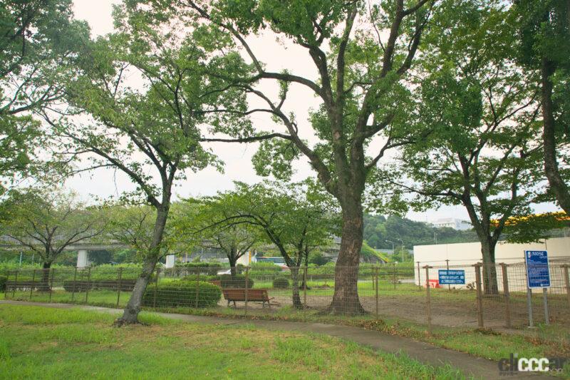 「【高速サービスエリア ドッグラン 九州】九州道・広川SA（下り）のドッグランは周りを樹に囲まれた静かな空間」の8枚目の画像