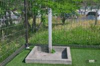 桜島サービスエリア_n01