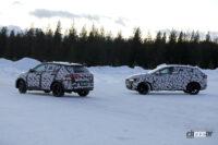 アルファロメオ トナーレ_013