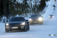 ポルシェ 911サファリ_010