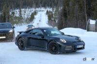 ポルシェ 911サファリ_012