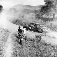 1964年サファリ挑戦にはセドリックもあった