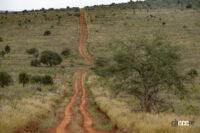 サファリのコース