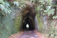 柿木台第一トンネルの南側入口