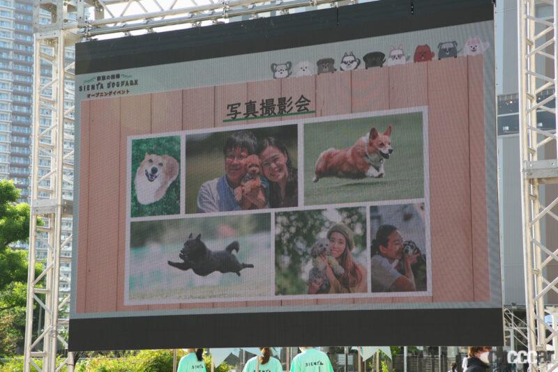 「新型シエンタ発売記念「家族の相棒 SIENTA DOG PARK」が2022年8月28日(日)までオープン。発表会に岩尾望、重盛さと美、古畑星夏が登壇」の5枚目の画像