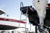 スイミングラダーも抜かりなく