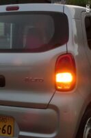 light rear 6 turn signal