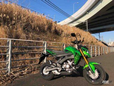 Z125PRO