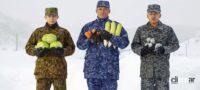 「クルマに積もった雪、正しい落とし方は？自衛隊が教えるライフハックに学ぶ雪対策」の7枚目の画像ギャラリーへのリンク