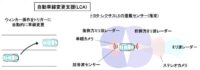 「運転支援と自動運転とは？ レベル分けと完全自動運転実用化に向けた課題などを解説【自動車用語辞典】」の6枚目の画像ギャラリーへのリンク