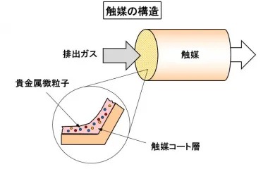 触媒の構造。排出ガスが通過する触媒コート層には貴金属微粒子が塗布されている