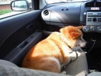 犬などのペットも車内への置き去りは厳禁