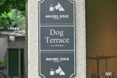 安濃SAのドッグラン01