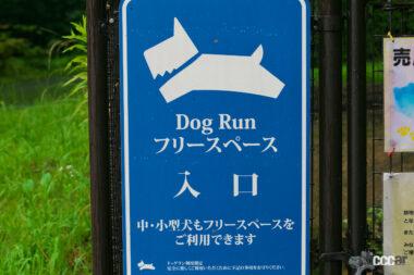 安濃SAのドッグラン10