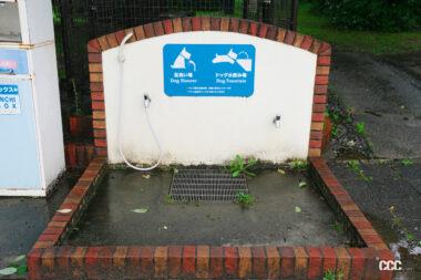 安濃SAのドッグラン03