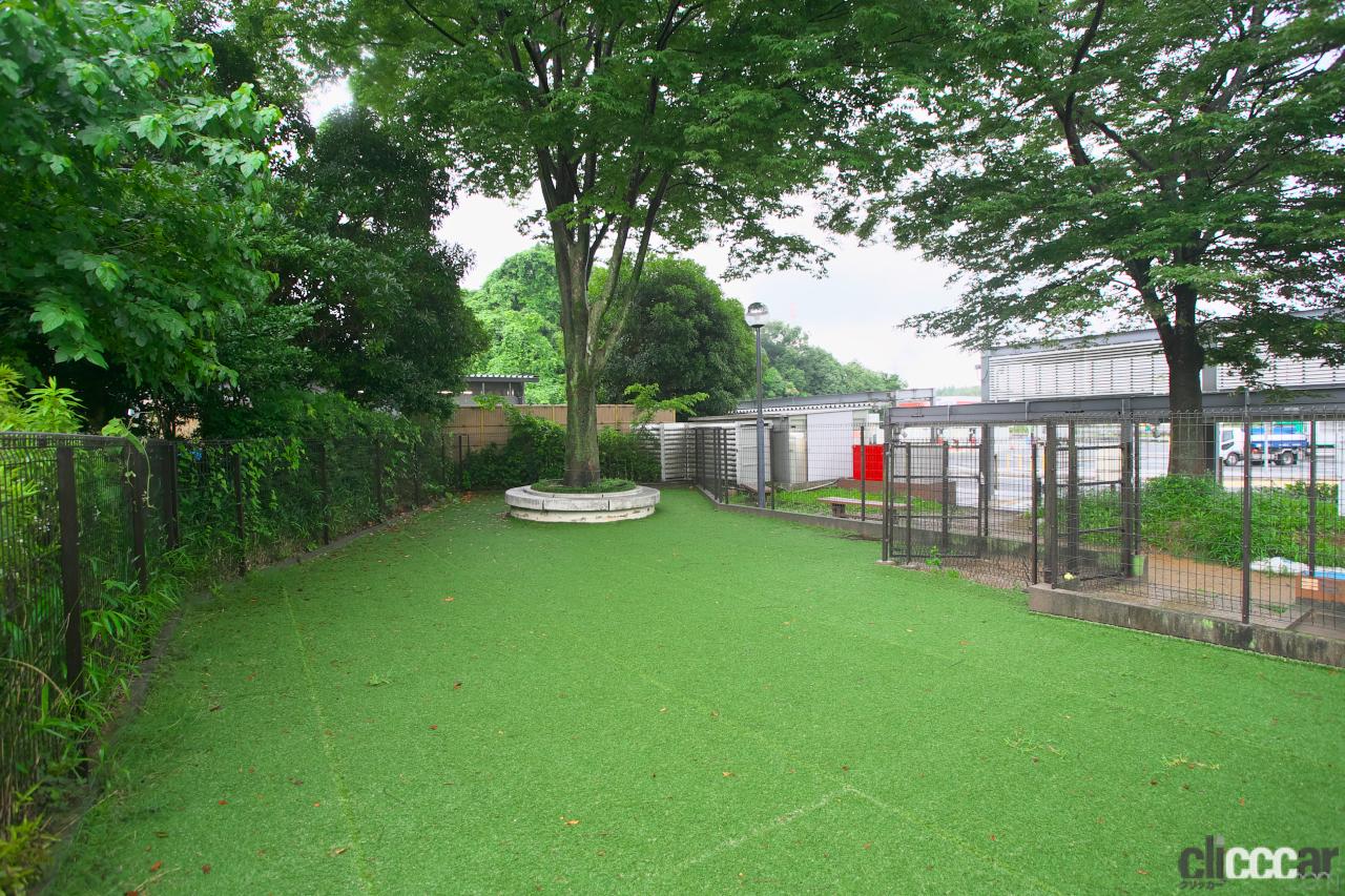 ドッグsaqina ドッグsaqina ドッグsaqina JEEXI-Blue-Dog-Nail-Clippers-