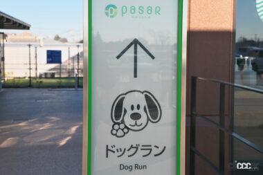 蓮田SA上りドッグラン12