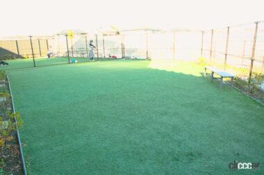 蓮田SA上りドッグラン08