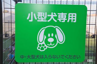 蓮田SA上りドッグラン04