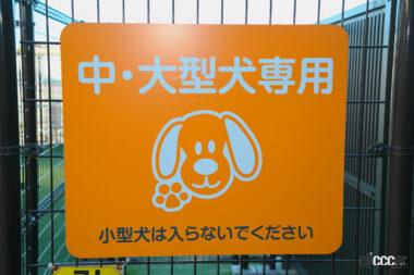 蓮田SA上りドッグラン03