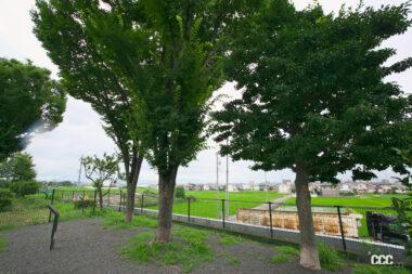 尾張一宮PAドッグラン08