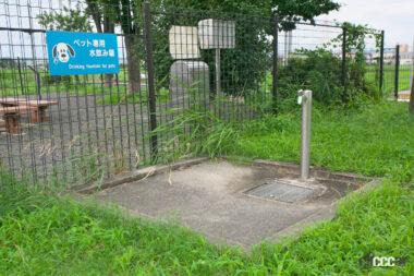 尾張一宮PAドッグラン03