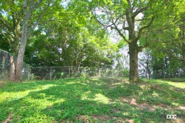 西紀SA上りドッグラン04