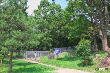 西紀SA上りドッグラン01