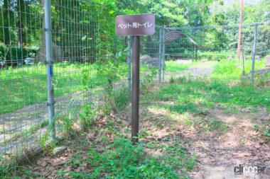 西紀SA上りドッグラン07