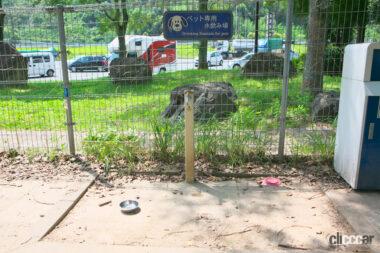 西紀SA上りドッグラン05