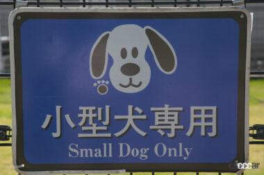 佐野SA下りドッグラン04