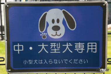 佐野SA下りドッグラン05