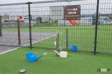 鈴鹿PAドッグラン08