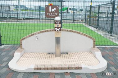 鈴鹿PAドッグラン03