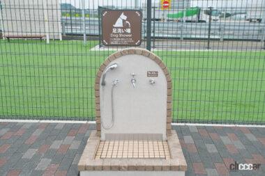 鈴鹿PAドッグラン04