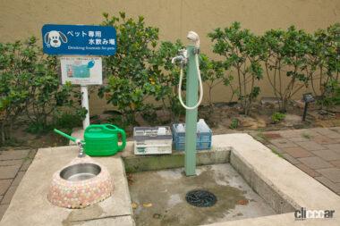 宝塚北SAドッグラン04