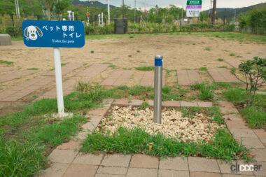 宝塚北SAドッグラン02