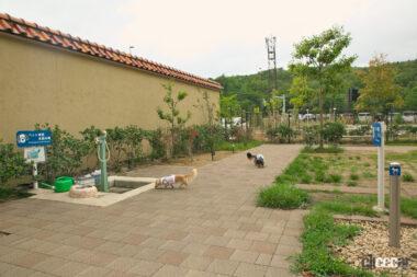 宝塚北SAドッグラン08