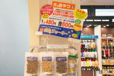 宝塚北SAドッグラン11