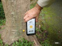 「MORI TAG」の付いた広葉樹は、立木のままデジタルカタログで紹介。買い手がついた後に伐り出される