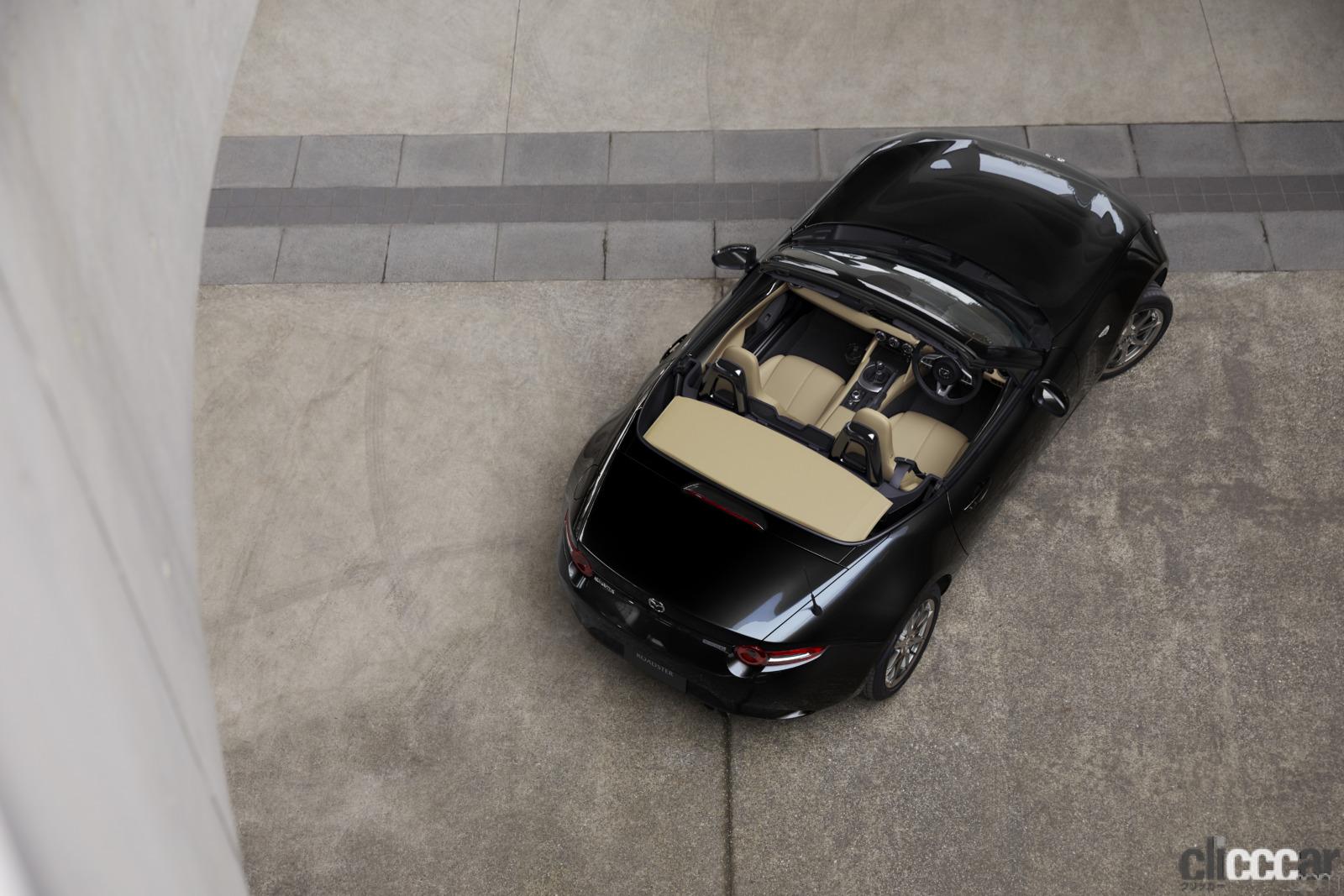 スパイダー レジェンダリー・ロードスター☆シリアルNo.入 スパイダー