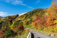 秋のドライブは要注意！ 落ち葉のスリップと落石のパンクトラブルが起きやすい - 26850149_m