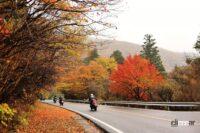 秋のドライブは要注意！ 落ち葉のスリップと落石のパンクトラブルが起きやすい - 秋の道路