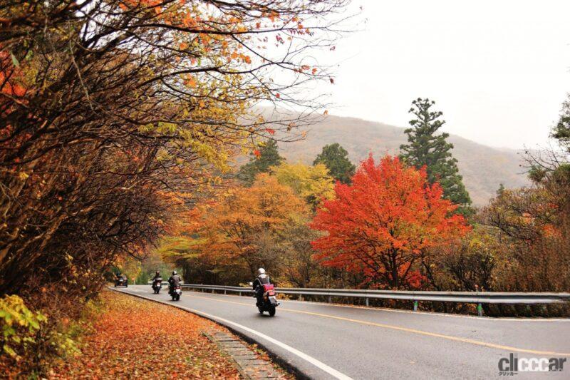 「秋のドライブは要注意！ 落ち葉のスリップと落石のパンクトラブルが起きやすい」の2枚目の画像