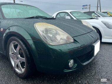 シックなボディカラー