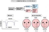 「車のセンサーとは？ パワートレイン制御、車両制御、ボディ制御、情報通信制御について解説【自動車用語辞典】」の28枚目の画像ギャラリーへのリンク